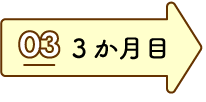 3か月目