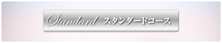 スタンダードプラン