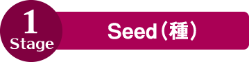 Seed（種）
