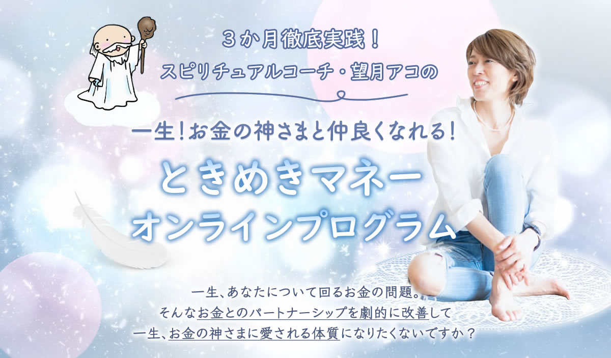 望月アコの3か月徹底実践 ときめきマネーオンライン オンラインプログラム 望月アコの3か月徹底実践 ときめきマネーオンライン オンラインプログラム